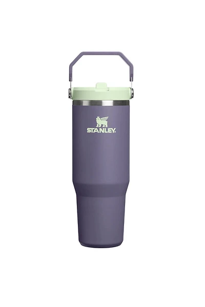 Iceflow Flip Straw Tumbler 30 oz - Purple Umbra