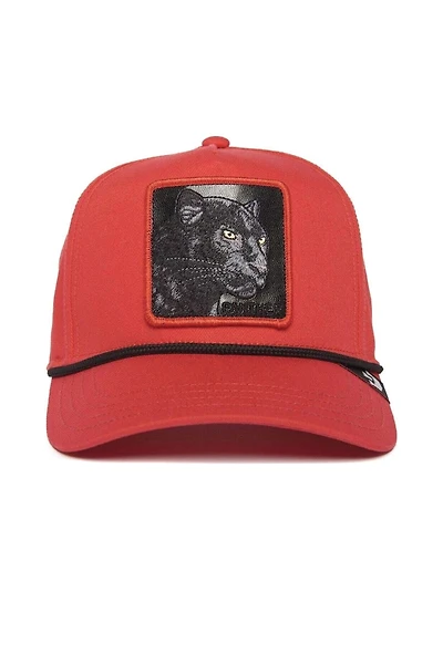 Unisex Panther 100 Hat