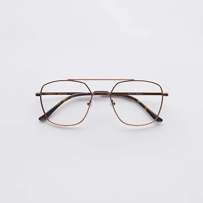 Crossfield XL - Bronze Glasses 