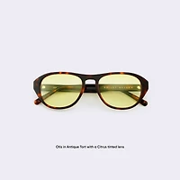 Otis Tint - Citrus Glasses 