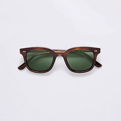 Harvey Sunglasses - Hazlenut 
