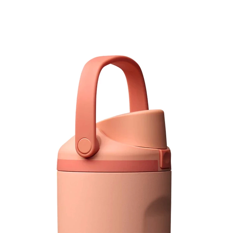 FreeSip® Sway 30oz Stainless Steel Water Bottle in Peach of Mind