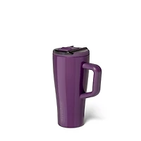 20oz Era Flip Handled Tumbler in Plum Gloss