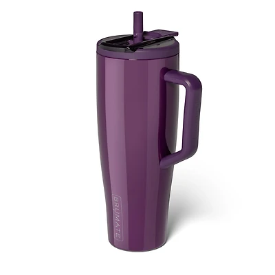 40oz Era Handled Tumbler in Plum Gloss