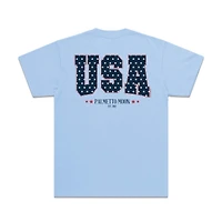 Youth Star Filled USA Short Sleeve T-Shirt Light Blue