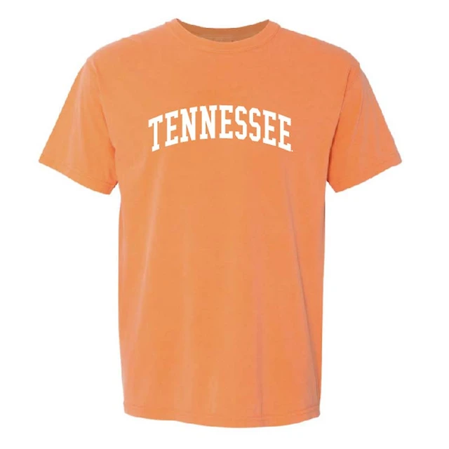 UT Arch Short Sleeve T-Shirt Melon