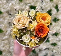 Small Round Eternal Garden