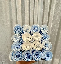 Prestige Square Rose Bucket