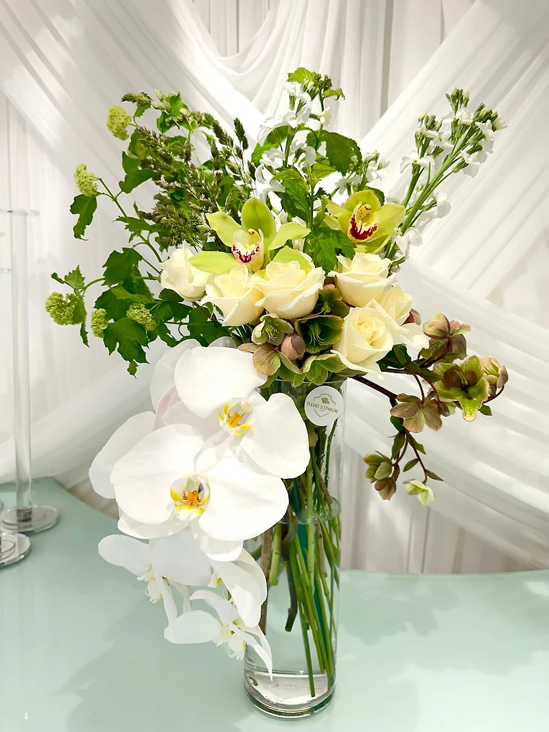 Orchid Love Arrangement - Fresh Flowers