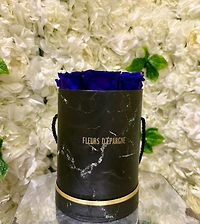 Tall Marble Round Bucket