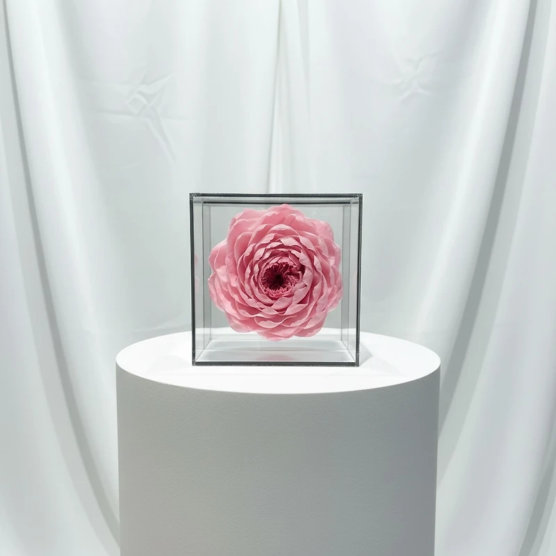 The Bloom Cube