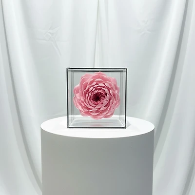 The Bloom Cube