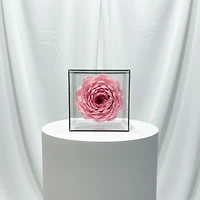 The Bloom Cube