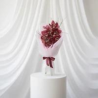 Cymbidium Garden- Fresh Flowers