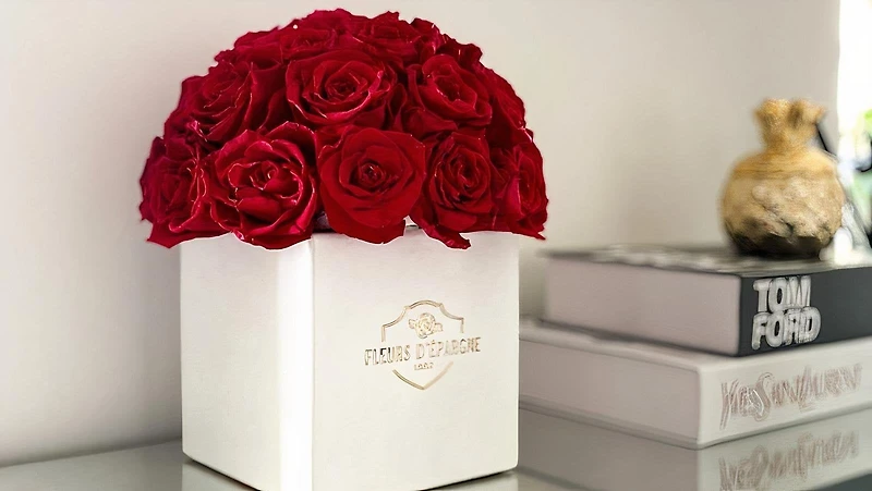 Super Dome in Square Vase