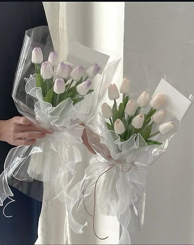 Tulip Wonder - Fresh Flowers