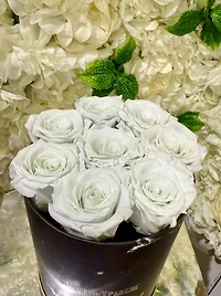 Tall Marble Round Bucket