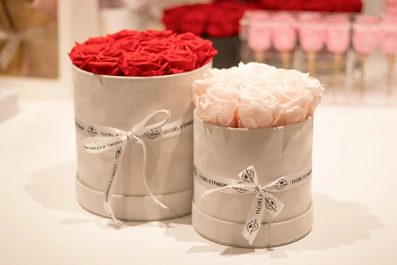 Rose Suede