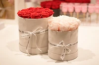 Rose Suede