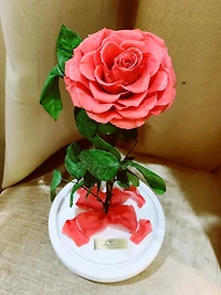 Eternity Rose Enchanted Glass Dome