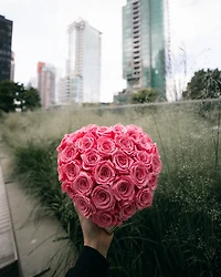 Super Dome Deluxe Marble Heart
