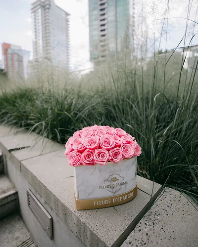 Super Dome Deluxe Marble Heart