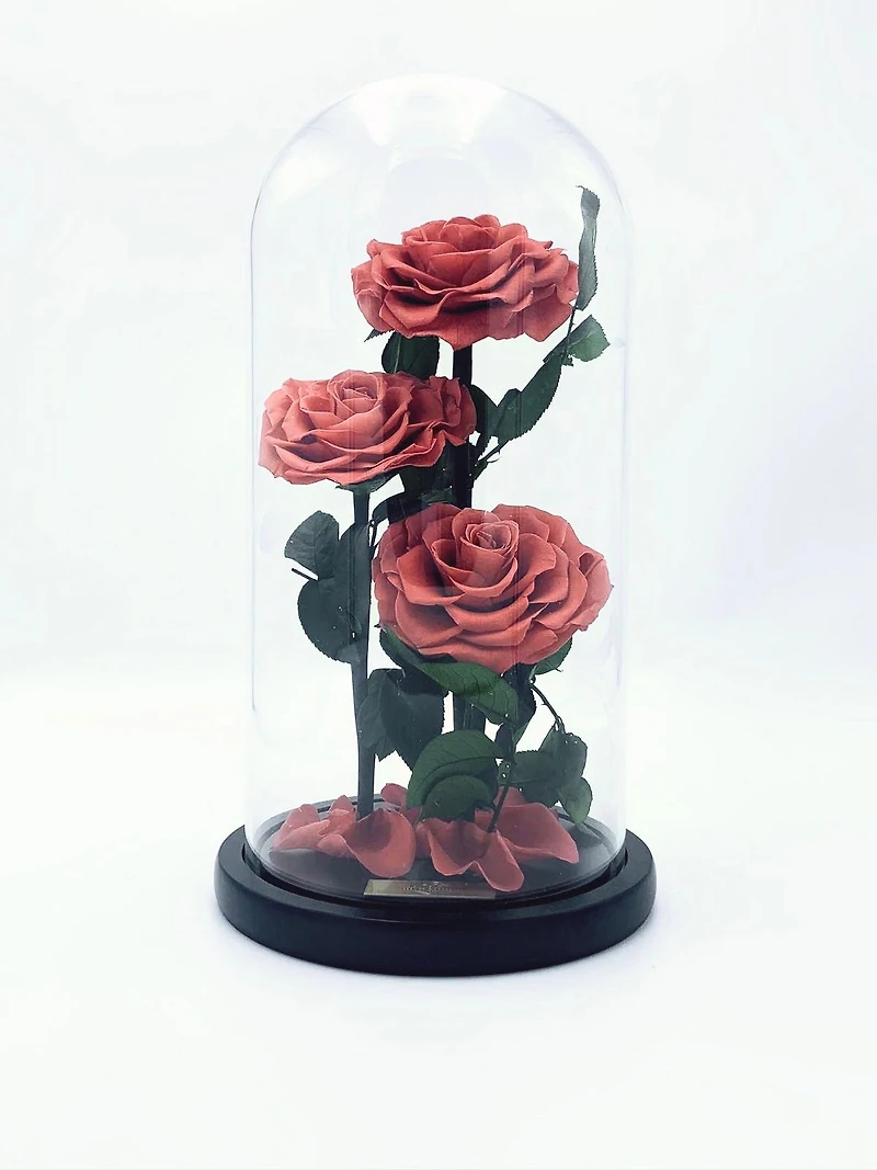 Eternity 3-in-1 Heart Rose Enchanted Glass Dome