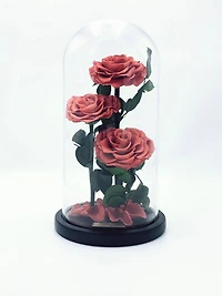 Eternity 3-in-1 Heart Rose Enchanted Glass Dome