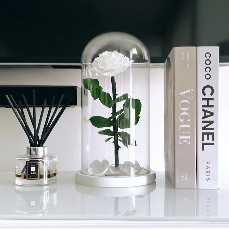 Eternity Rose Enchanted Glass Dome