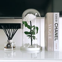 Eternity Rose Enchanted Glass Dome