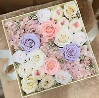 Fairytale Supreme Box