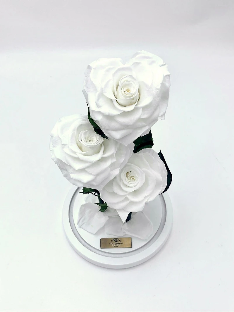 Eternity 3-in-1 Heart Rose Enchanted Glass Dome