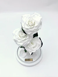 Eternity 3-in-1 Heart Rose Enchanted Glass Dome