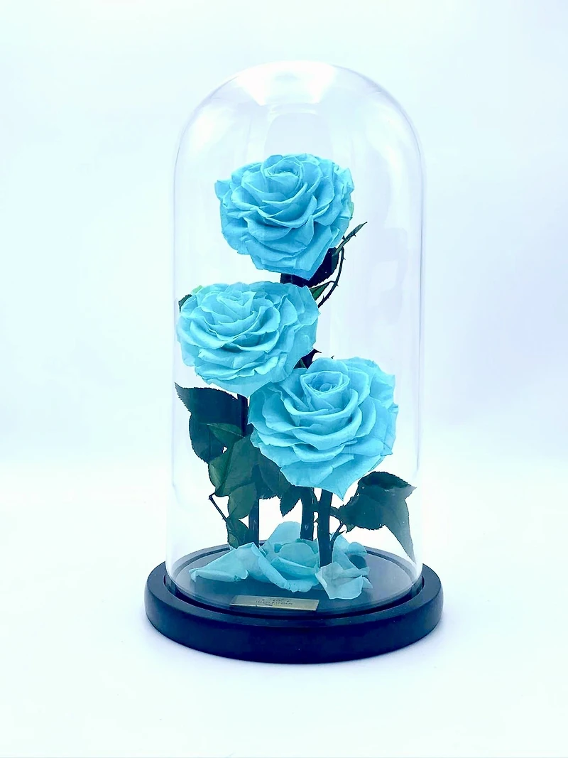 Eternity 3-in-1 Heart Rose Enchanted Glass Dome