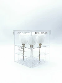 Classic Love Crystal Box