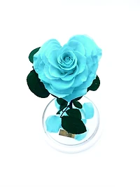 Enchanted Rose in Glass Dome