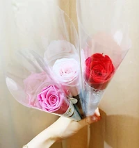 Eternity Single Rose Cone