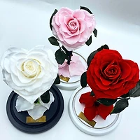 Medium Enchanted Glass Dome - Heart Rose