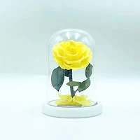 Medium Enchanted Glass Dome - Heart Rose