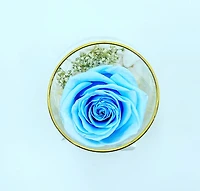 One Love in Round Glass Vase