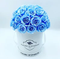Superdome Classic Rose Bucket