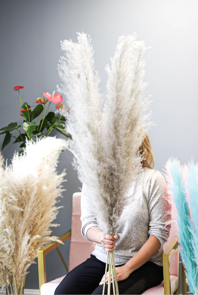 Pampas Grass - Gray