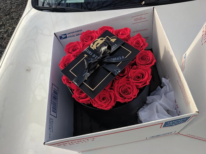 Elegance Prestige Rose Bucket