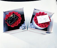 Elegance Prestige Rose Bucket