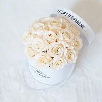 Prestige Rose Bucket - Small