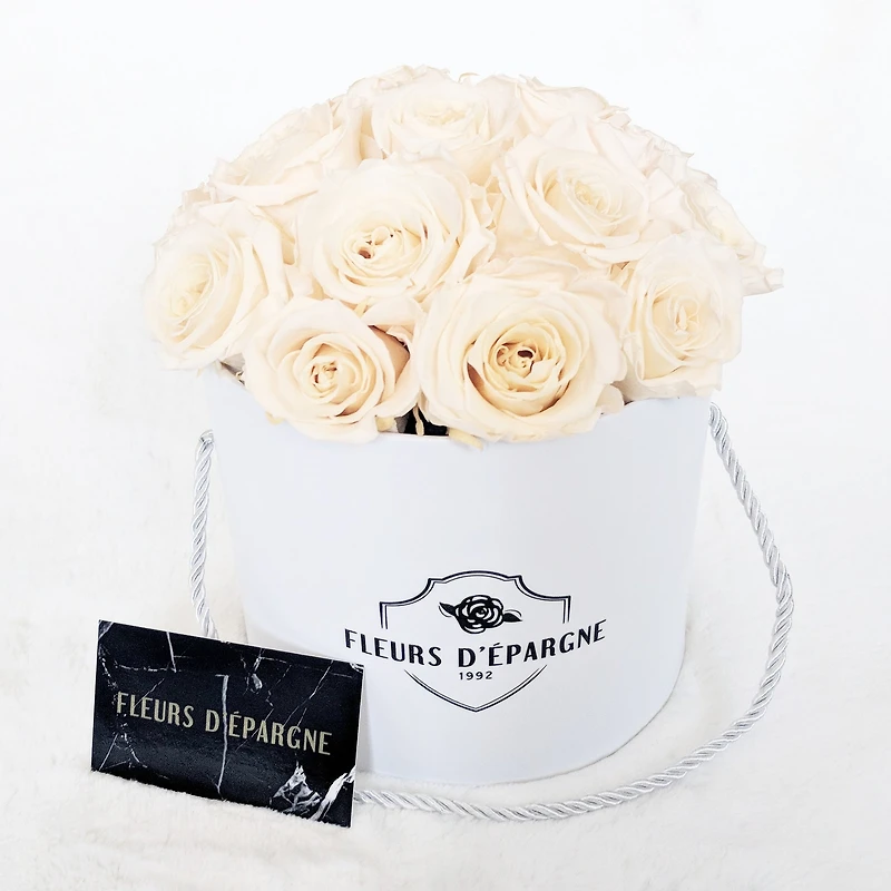 Prestige Rose Bucket - Small