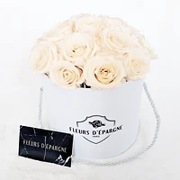 Prestige Rose Bucket - Small