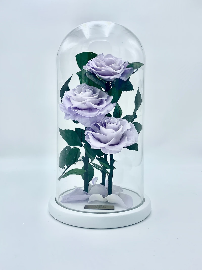 Eternity 3-in-1 Rose Enchanted Glass Dome