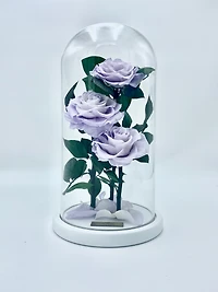 Eternity 3-in-1 Rose Enchanted Glass Dome