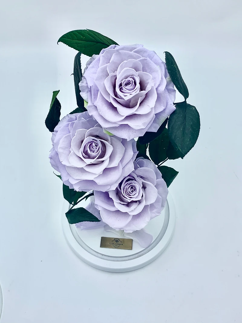 Eternity 3-in-1 Rose Enchanted Glass Dome